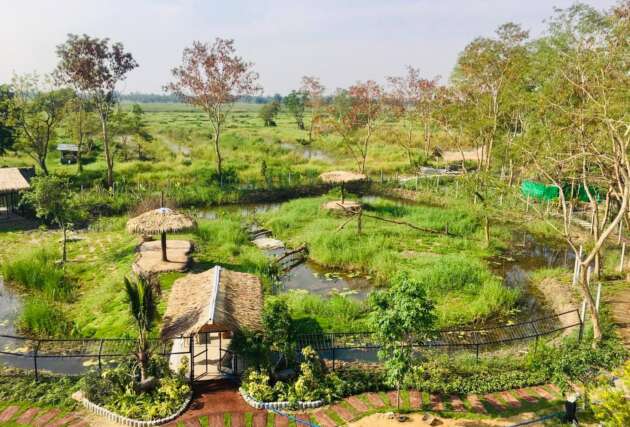 สวนสัตว์แห่งใหม่, Mini Zoo ธัญบุรี